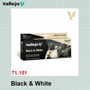 ערכת צבעים שחור ולבן