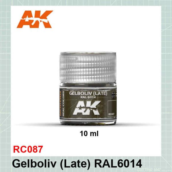 Gelbolive (Late) RAL6014
